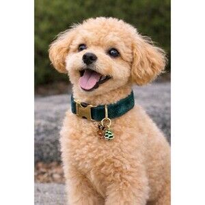 M Dark Emerald Green Dog Collar Velvet Velour Holiday Christmas MEDIUM